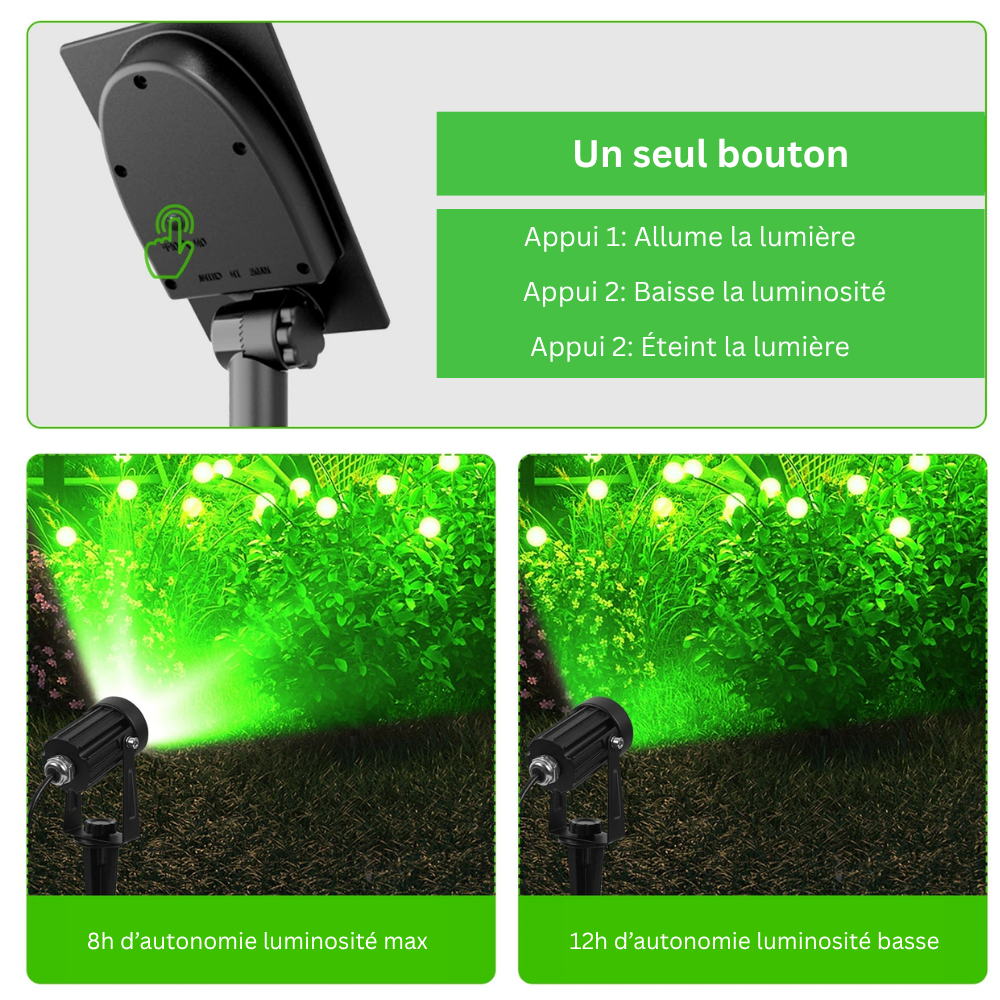 Projecteur Solaire LED Vert – Super Lumineux, Étanche IP65 (Lyra) - LUMICONCEPT