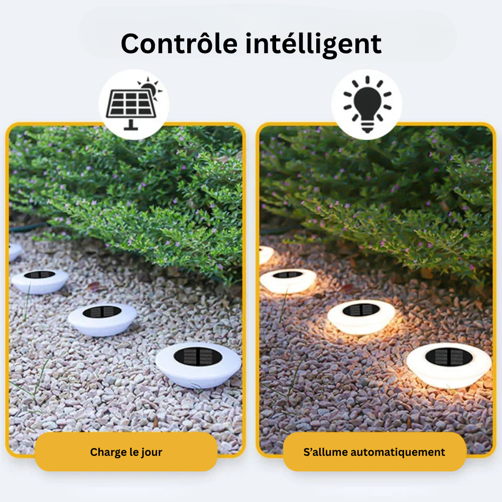 Lot de 4 - Spot Solaire LED Extérieure – Étanche IP65, Éclairage 360°, Jardin, Allée et Terrasse (Lyra) - LUMICONCEPT