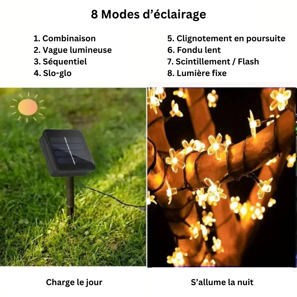 Guirlande Solaire LED 30 Lumières Sakura – Étanche, Décoration de Jardin et Fêtes (Lyra) - LUMICONCEPT