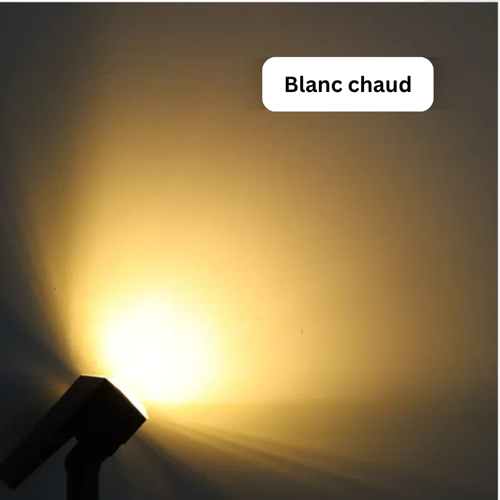 Projecteur Solaire 9 LED – Étanche IP65, Luminosité Réglable pour Jardin, Allée, Pelouse et Extérieur (Orion) - LUMICONCEPT