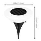 Lot de 4 - Spot Solaire LED Extérieure – Étanche IP65, Éclairage 360°, Jardin, Allée et Terrasse (Lyra) - LUMICONCEPT