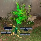 Projecteur Solaire LED avec Rétroéclairage – Étanche IP65, 2 Modes, Installation Murale ou au Sol (Cygnus) - LUMICONCEPT