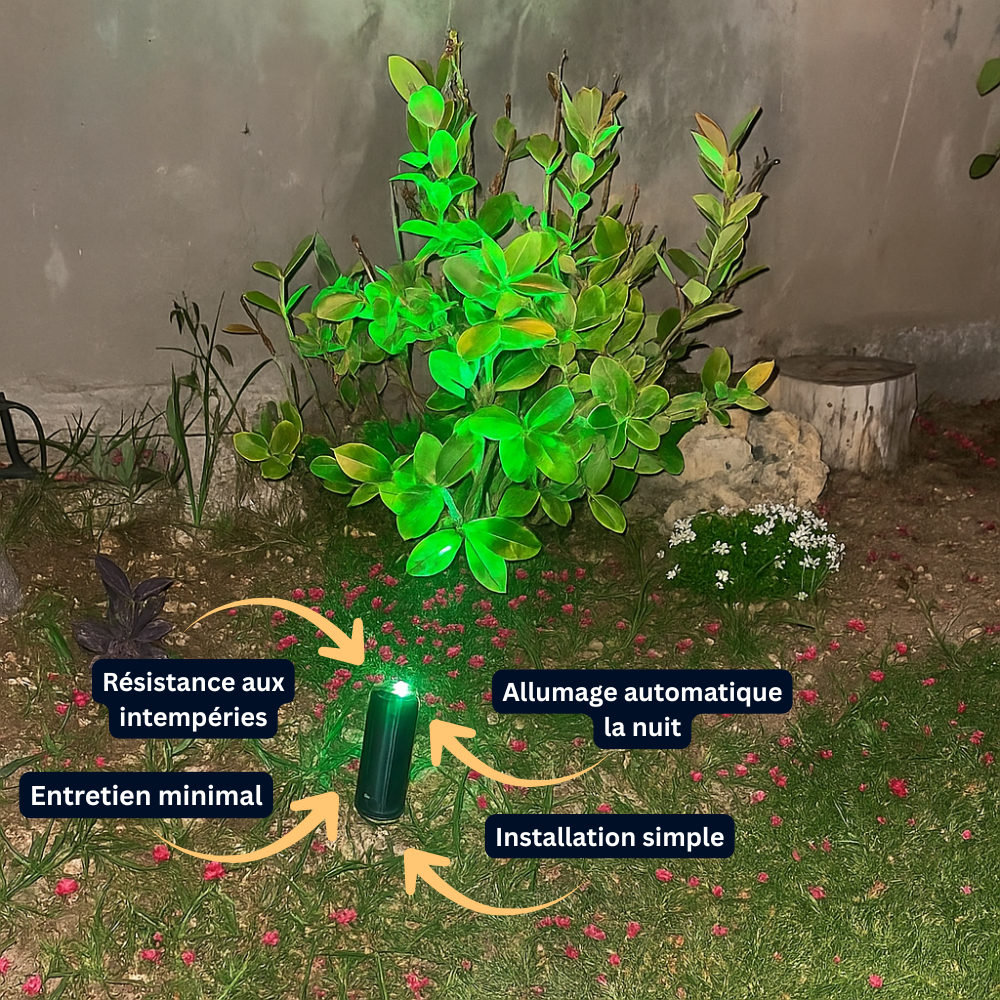 Projecteur Solaire LED avec Rétroéclairage – Étanche IP65, 2 Modes, Installation Murale ou au Sol (Cygnus) - LUMICONCEPT