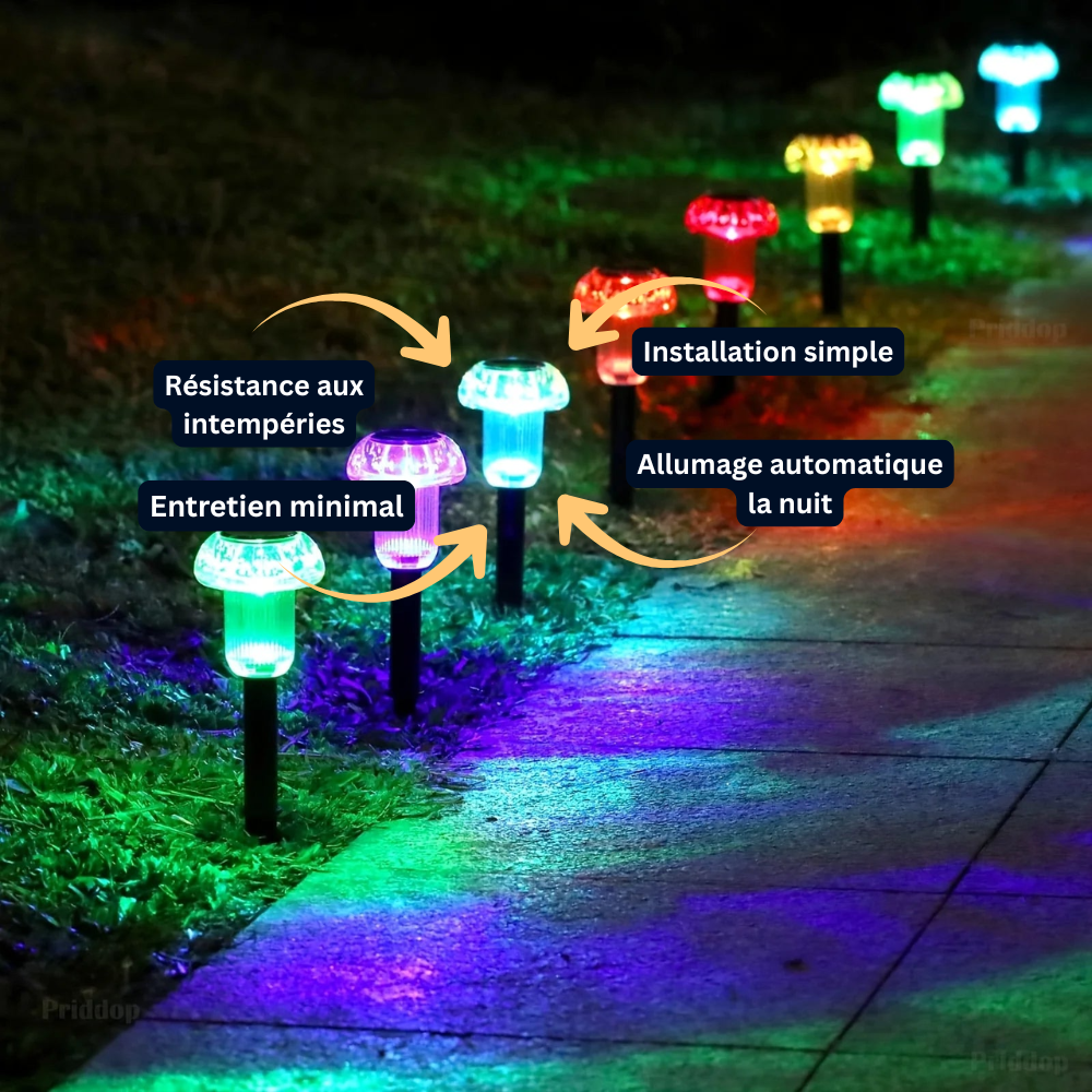 Lot de 4 Lampes Solaires LED à Piquer – Étanche, Design Champignon Coloré, Éclairage Allée, Pelouse et Jardin (Cygnus) - LUMICONCEPT