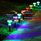 Lot de 4 Lampes Solaires LED à Piquer – Étanche, Design Champignon Coloré, Éclairage Allée, Pelouse et Jardin (Cygnus) - LUMICONCEPT