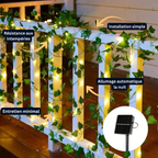 Guirlande Solaire LED Lierre – Étanche, Vigne Artificielle Feuilles d’Érable, Décoration Clôture et Jardin (Draco) - LUMICONCEPT