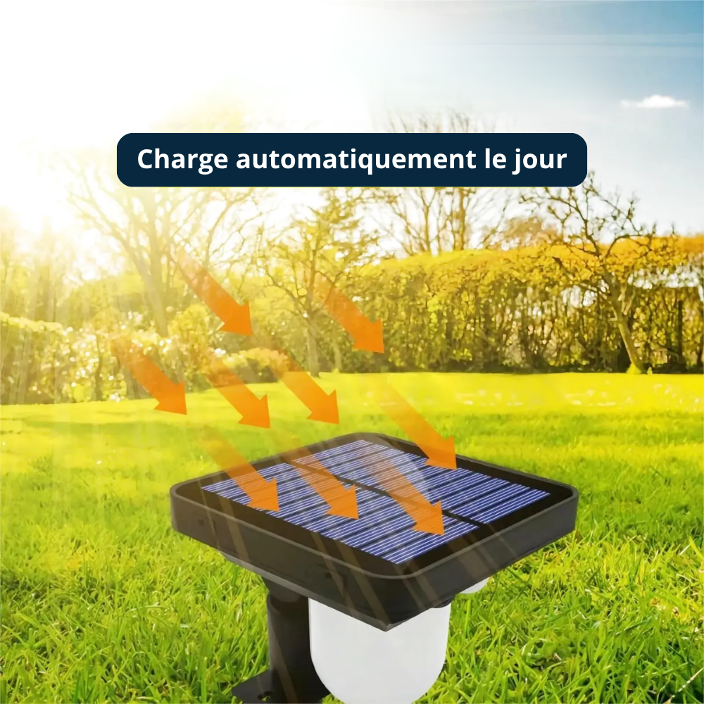 Borne Solaire LED Extérieure avec Capteur PIR – Étanche IP65 (Altair) - LUMICONCEPT