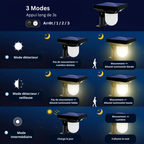 Borne Solaire LED Extérieure avec Capteur PIR – Étanche IP65 (Altair) - LUMICONCEPT