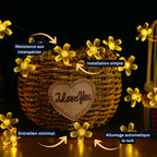 Guirlande Solaire LED 30 Lumières Sakura – Étanche, Décoration de Jardin et Fêtes (Lyra) - LUMICONCEPT