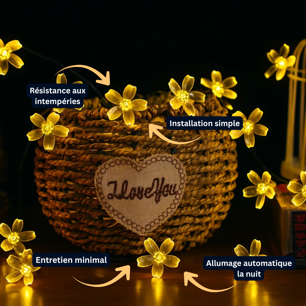 Guirlande Solaire LED 30 Lumières Sakura – Étanche, Décoration de Jardin et Fêtes (Lyra) - LUMICONCEPT